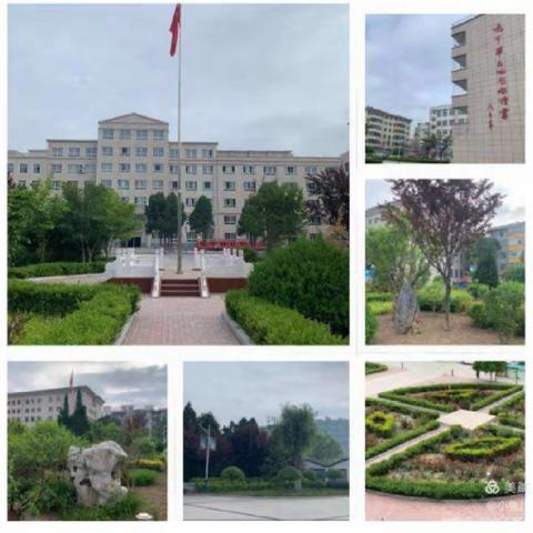 美好的春天校园，如约而至！