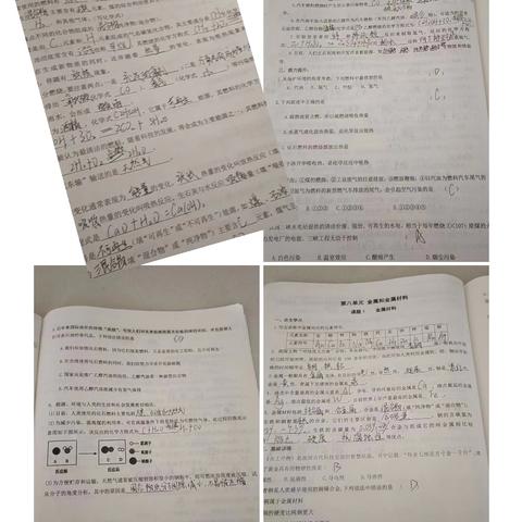 白泽组作业总结