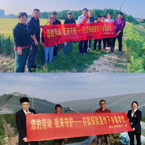 “您的劳动 我来守护”，颍上农商行存款保险宣传助农助企暖民心。
