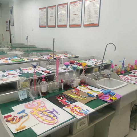 【学科竞赛】有“模”有样，我“型”我秀——初一生物模型制作比赛