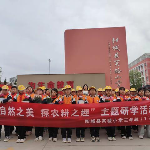 阳城县实验小学三年级（1）班“寻自然之美  探农耕之趣”主题研学活动纪实