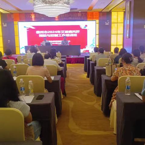 儋州市2024年艾滋病丙肝培训会议