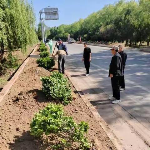 定流村网格员工作日志一一环境卫生整治