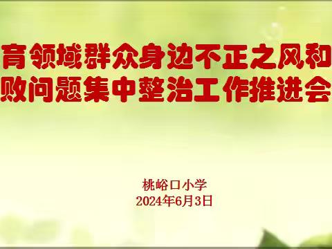 深化专项整顿  加强师德修养——华山镇桃峪口小学召开群众身边不正之风和腐败问题集中整治工作推进会纪实