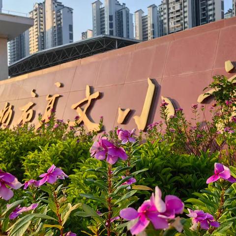 春日护学，与美同行 二（18）班志愿者活动