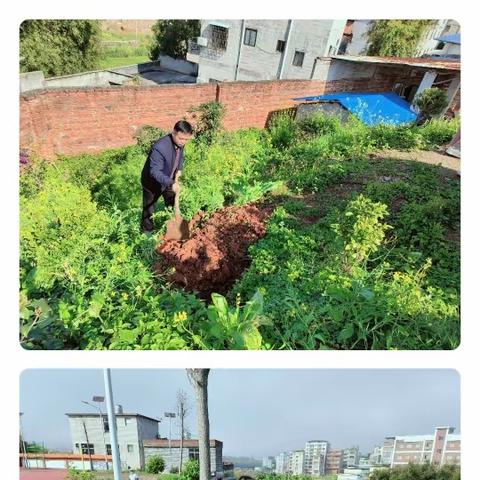 太平一中2024年植树节