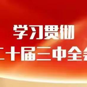 【学习专题】党的二十届三中全会精神应知应会【一】