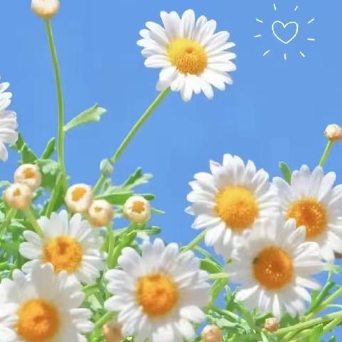 福建城市花园物业一中瑞尚城小区7月份工作月报