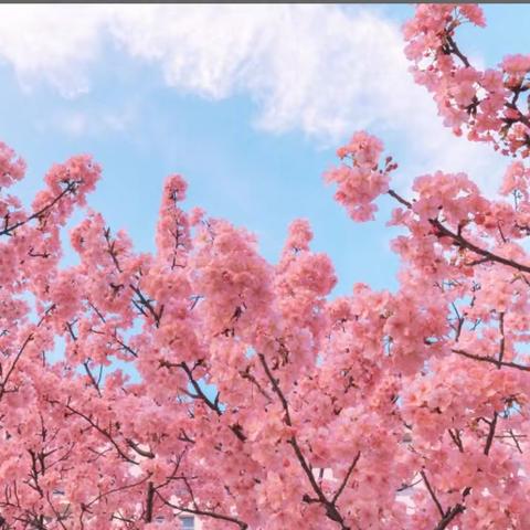 大风起兮云飞扬的简篇