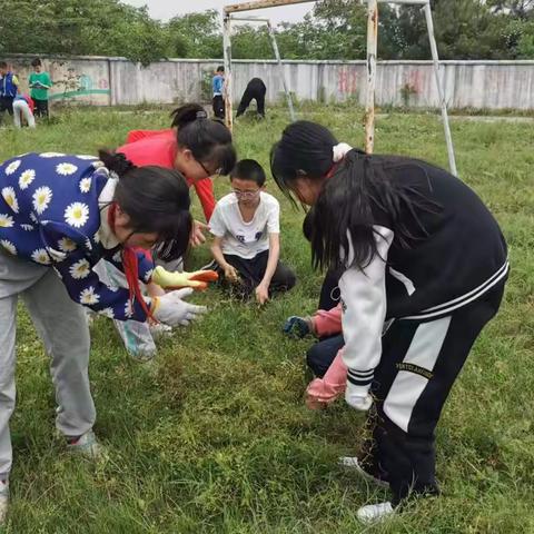 我是劳动小能手 ——快乐劳动 幸福成长