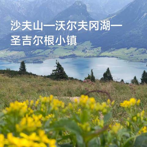 欧洲行—奥地利（一）