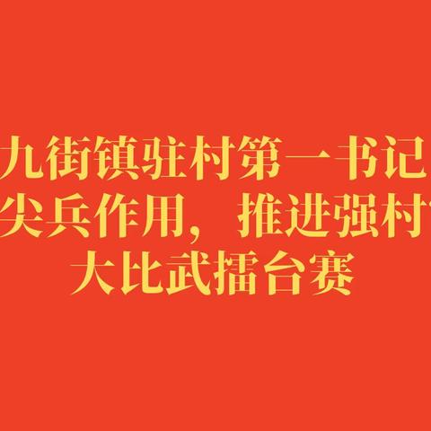 九街镇驻村第一书记“发挥尖兵作用，推进强村富民”大比武擂台赛