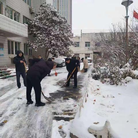 市农业农村局东院后勤服务中心党支部以“雪”为令，我为先锋，积极开展义务扫雪除冰活动