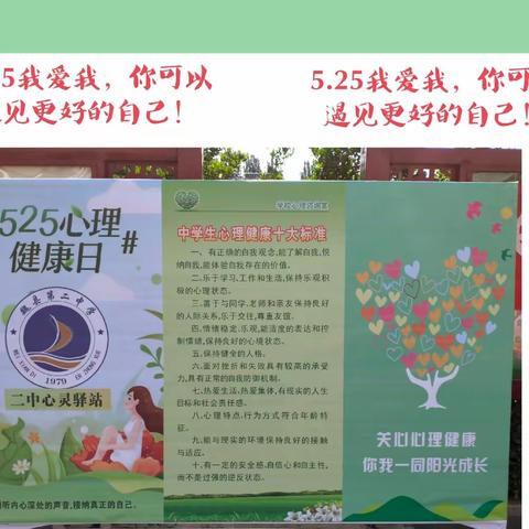 关注心理健康 共同阳光成长——魏县第二中学5·25心理健康日现场咨询活动