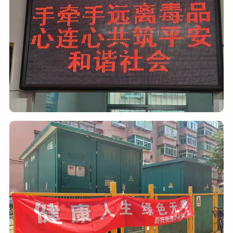 新抚街道安居社区开展禁种铲毒踏查行动，筑牢辖区“无毒”防线