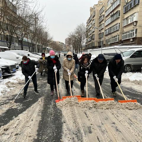 以雪为令志愿行 ——泺河社区道路安全“一盔一带”宣传在行动