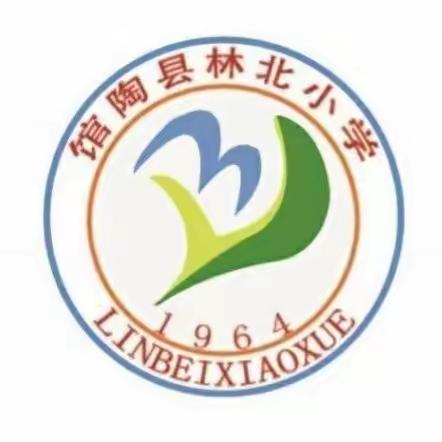 馆陶县林北小学师德师风专项排查活动