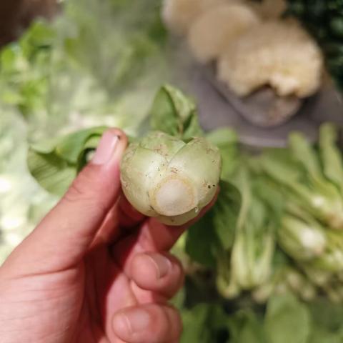蔬菜组巡店照片已整改
