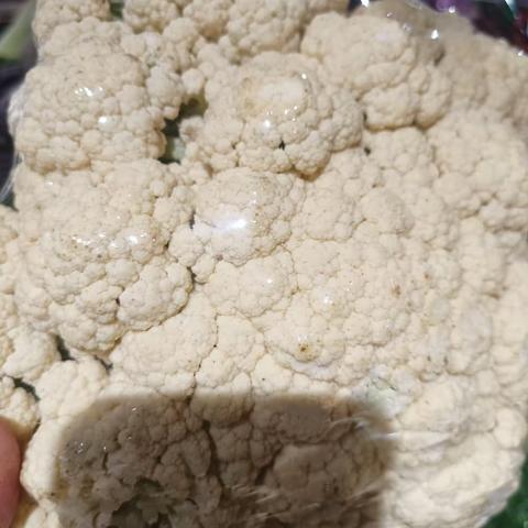 奥城蔬菜组已整改