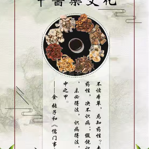 传承千年智慧，守护健康生活——郑营镇卫生院中医药服务在您身边