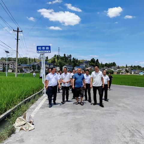 新民村股份经济合作社赴遵义、湄潭学习产业发展