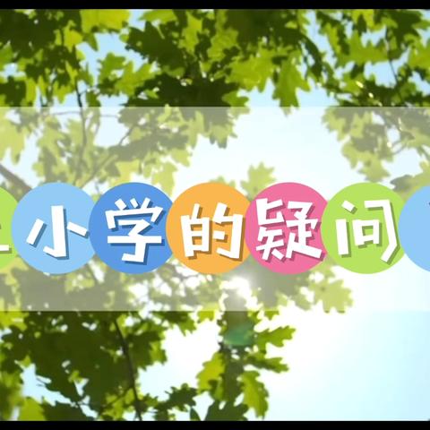 湾畔幼儿园大班5-6月份幼儿活动（上篇）