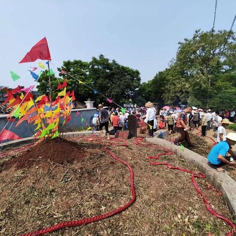 临高加禄村2024年清明祭祖