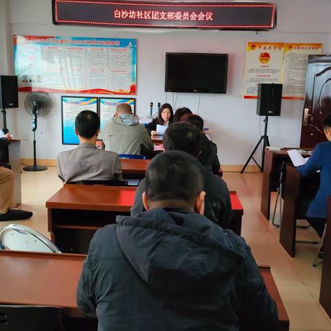 白沙坊社区团支部委员会