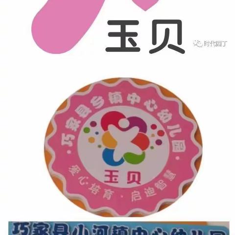 教有所得，研有所获——巧家县小河镇中心幼儿园科学领域科学活动