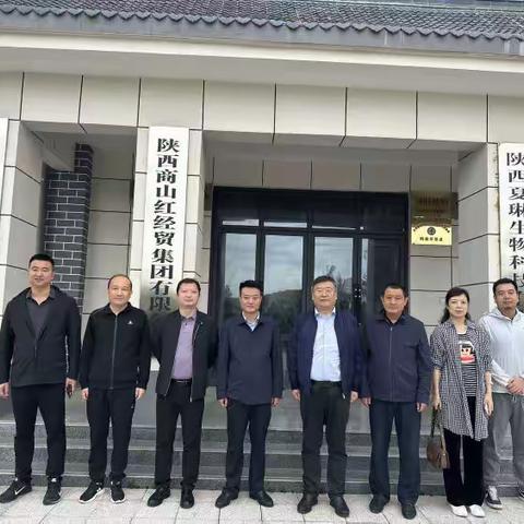 全力促外贸稳增长，碑林跨境电商企业全意（陕西）助力丹凤陕西新雨丹生物科技农产品远销海外