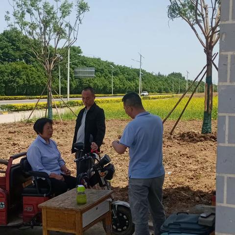 城乡建设科工作动态