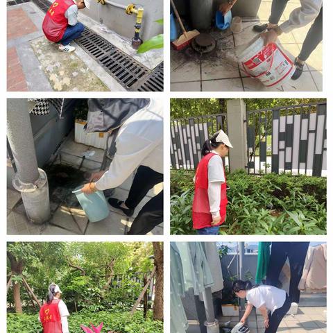 晋安区茶园街道东浦社区开展夏季“除四害”活动