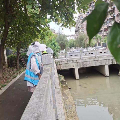 茶园街道东浦社区开展巡河护河志愿服务