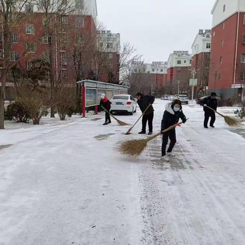 平阴县孝直镇莲心园社区 闻雪而动 全力除雪保畅通