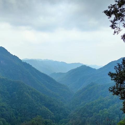 忙里偷闲