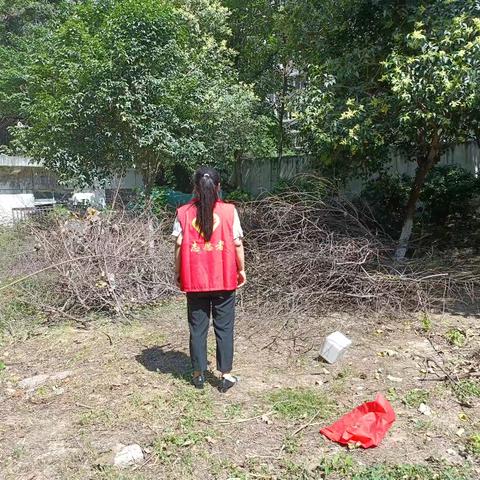 网格纪实｜环境整治不松懈 焕新家园“净”底色