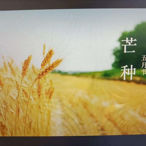 芒种芒种🌾🌾幸福播种 —— 新马头镇中心校部芒种主题活动