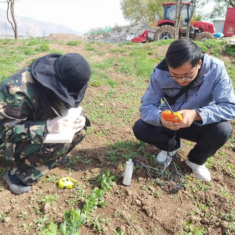 积极应对霜冻天气  为农业生产保驾护航