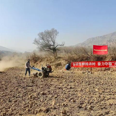 推广良种良法良技 坚实助力春耕春播第一犁