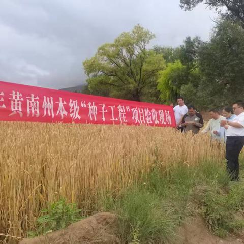 黄南州本级2025年农作物种子工程项目通过现场验收