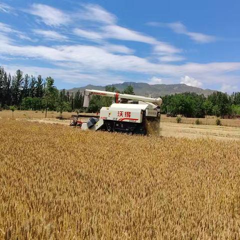 全力备战“秋收”安全生产，确保粮食“丰收在仓”