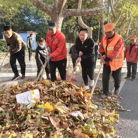 【区环卫中心】［油田清扫公司］秋染深黄 落叶别秋