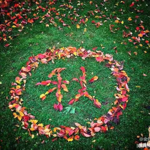 “亲近自然💕拥抱秋天”——第十幼儿园中班秋游美篇🍁🌰
