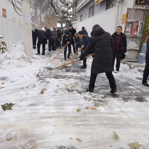 柳林桥街道中柳林社区以雪为令 党员先行主题党日活动