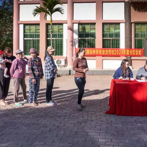 毛招村绿元种养专业合作社举行分红仪式