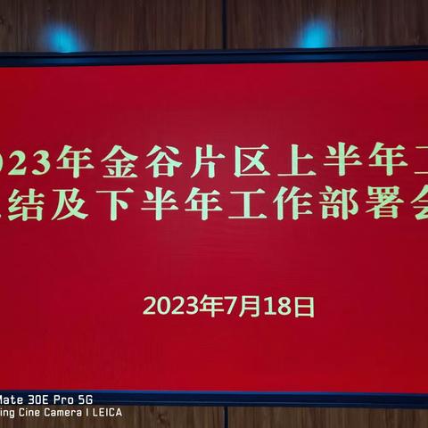 【情润金谷 同心筑梦】金谷片区召开各村居、社区上半年工作总结及下半年工作部署会议