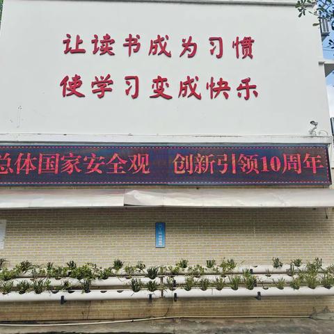 国家安全  人人有责--三亚市第四小学教育集团华丽校区