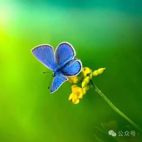 寻找春天，拥抱自然——东关中心幼儿园春日主题活动