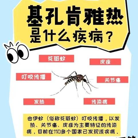 预防登革热 ，基孔肯雅热 ，守护健康家园——荷花苑幼儿园致家长的一封信