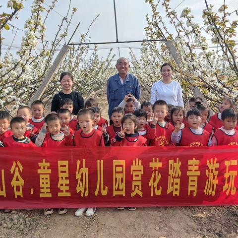 李山谷童星幼儿园赏花踏青游玩活动圆满结束